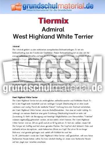 Admiral - West Highland White Terrier.pdf